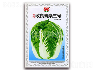 �����������s��̖-�ײ˷N��-����N�I(y��)