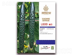 L600-�S�ϷN��-�����r(n��ng)�I(y��)