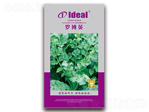 ���_��Ӣ-�}���N��-�����r(n��ng)�I(y��)