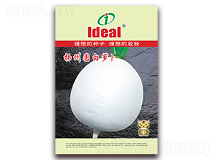 �P(y��ng)�݈A���}��-�}���N��-�����r(n��ng)�I(y��)