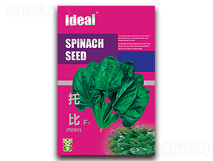 �б�-���˷N��-�����r(n��ng)�I(y��)