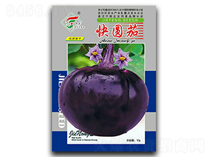 ��A��-���ӷN��-���r(n��ng)