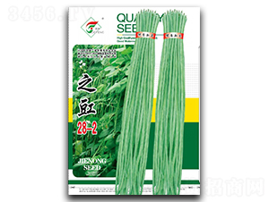 之豇28-2-豇豆種子-杰農(nóng)