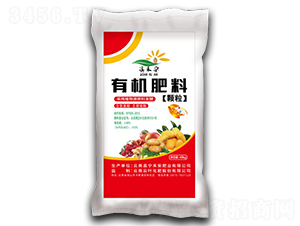 �w�����ЙC(j��)��-�̰��ʘI(y��)