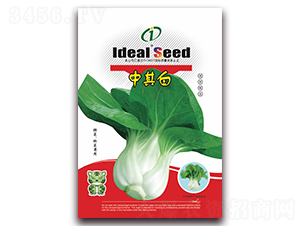 �����-С�ײ˷N��-�����r(n��ng)�I(y��)