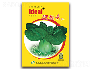 ������-С�ײ˷N��-�����r(n��ng)�I(y��)