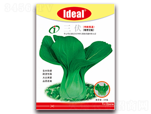 ����-С�ײ˷N��-�����r(n��ng)�I(y��)