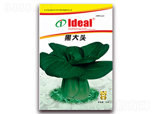 �ڴ��^-С�ײ˷N��-�����r(n��ng)�I(y��)