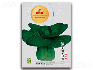 ������K-С�ײ˷N��-�����r(n��ng)�I(y��)