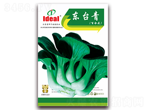 �|�_(t��i)��-С�ײ˷N��-�����r(n��ng)�I(y��)