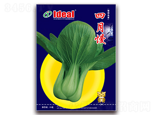 ������-С�ײ˷N��-�����r(n��ng)�I(y��)