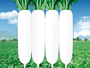 ���r(n��ng)����-�}���N��-���߷N��