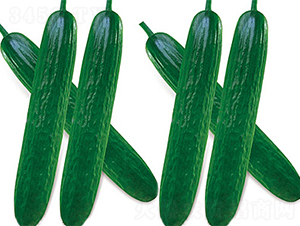 ��ˮ3̖(h��o)-�S�ϷN��-���߷N��