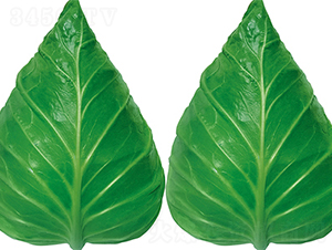 �K��55-���{(l��n)�N��-���߷N��