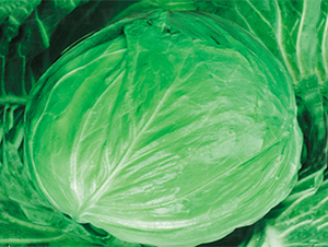 ����-���{(l��n)�N��-���߷N��