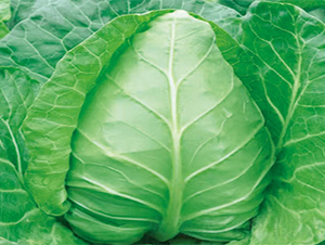 ��������-���{(l��n)�N��-���߷N��