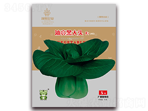 油亮黑大頭-青梗菜種子-理想農(nóng)業(yè)