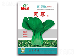 ����-�๣�˷N��-�����r�I(y��)