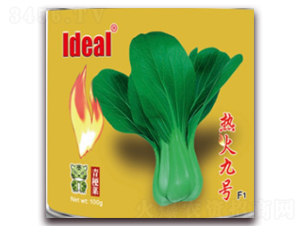 ����̖-�๣�˷N��-�����r�I(y��)