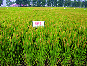 �F��7̖-ˮ���N��-�F�зN�I(y��)