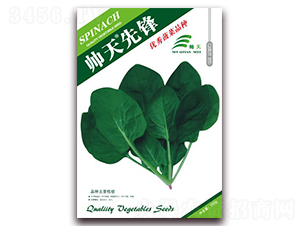 �������h-���˷N��-����