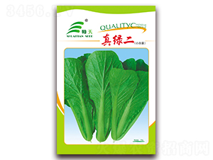 ��G��-�ײ˷N��-����