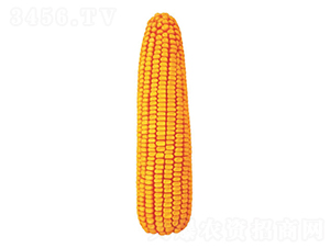 �F��27̖(h��o)-���׷N��-�F�зN�I(y��)