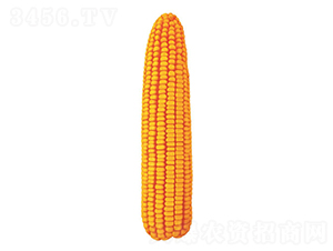 �F��15̖(h��o)-���׷N��-�F�зN�I(y��)