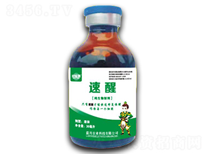 �������Ƅ�-����-�{���r�I(y��)