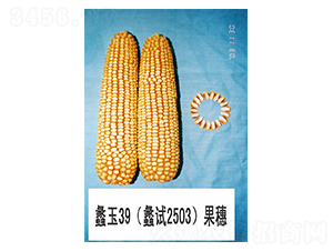 ���39-���׷N��-���