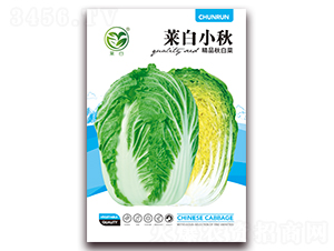 �R��С��-�ײ˷N��-����(r��n)�N�I(y��)