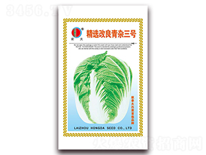 �������s��̖(h��o)-�ײ˷N��-����(r��n)�N�I(y��)