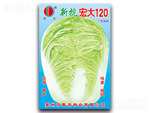 ���120-�ײ˷N��-����(r��n)�N�I(y��)