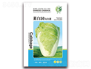 �˰�50��ײ�-�ײ˷N��-����(r��n)�N�I(y��)