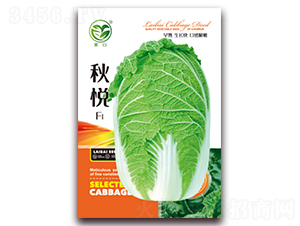 �F1-�ײ˷N��-����(r��n)�N�I(y��)