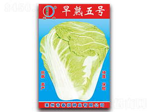 ����5̖-�ײ˷N��-�����N�I(y��)