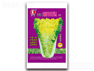 ���ջ���-�ײ˷N��-�����N�I(y��)