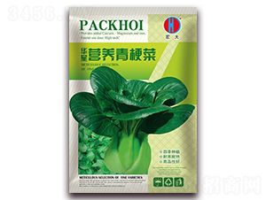 華星營養(yǎng)青梗菜（綠）-青梗菜種子-春潤種業(yè)