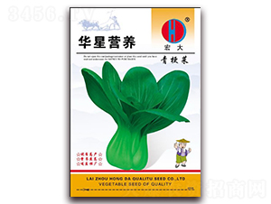 宏大華星營養(yǎng)青梗菜-青梗菜種子-春潤種業(yè)