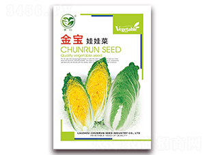 金寶娃娃菜-娃娃菜種子-春潤(rùn)種業(yè)