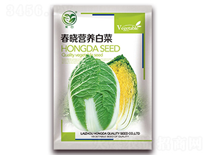 春曉黃心白菜-娃娃菜種子-春潤種業(yè)