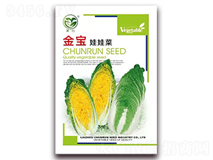萊白金寶娃娃菜-娃娃菜種子-春潤種業(yè)