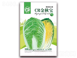 CR金秋寶-娃娃菜種子-春潤種業(yè)