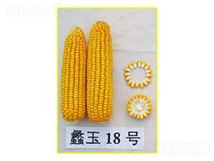 ���18̖-���׷N��-���