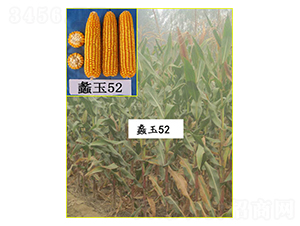 ���52-���׷N��-���