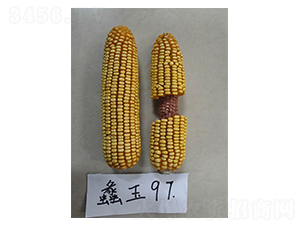 ���97-���׷N��-���