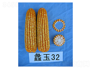 ���32-���׷N��-���