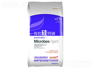 �ЙC���}���������-�󱊷ʘI(y��)