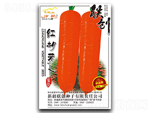 �t���}��-���}���N��-(li��n)��(chu��ng)