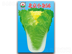 ����С�s56-�ײ˷N��-����